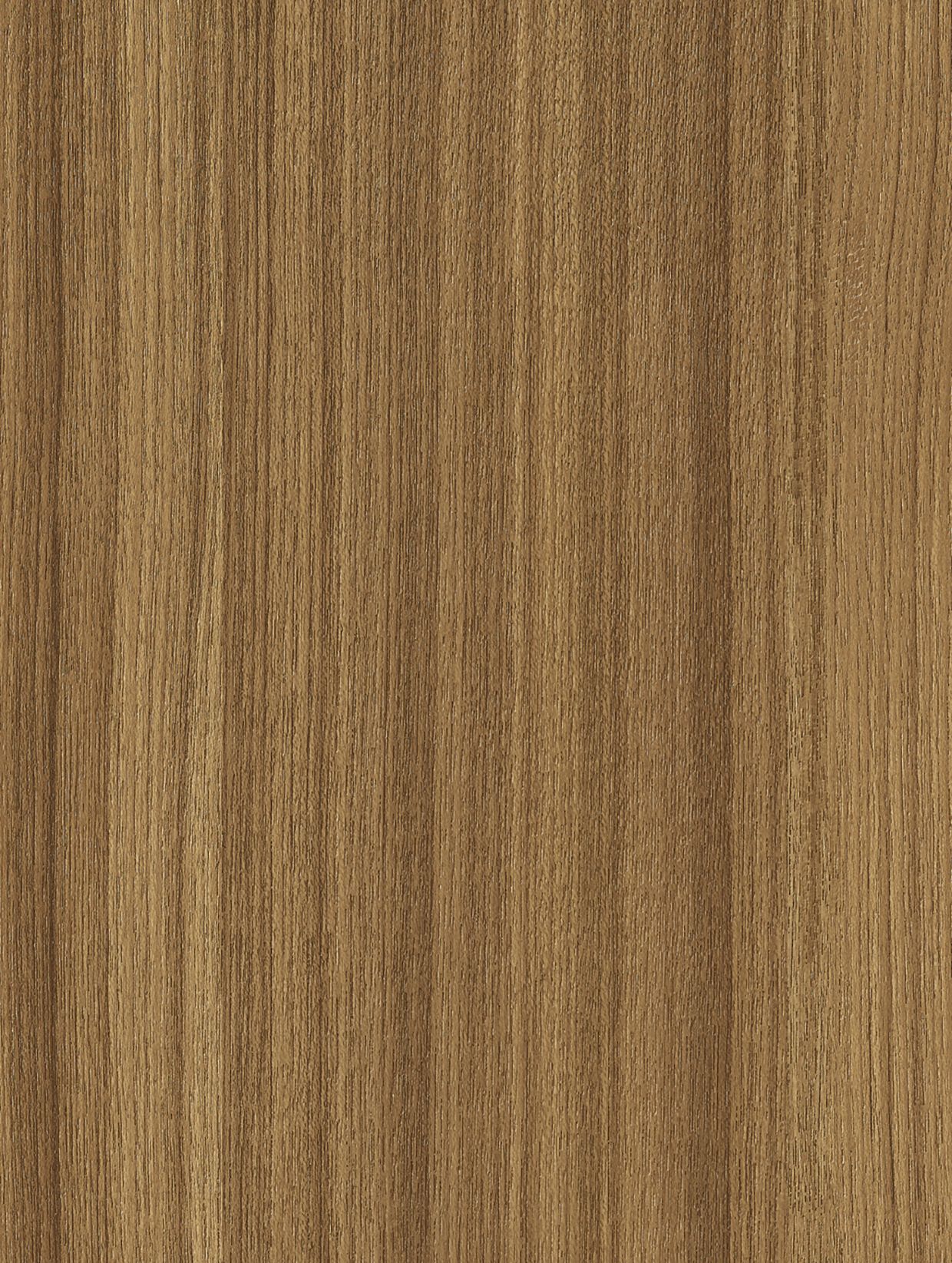 Texture AA02 — Bois moyen