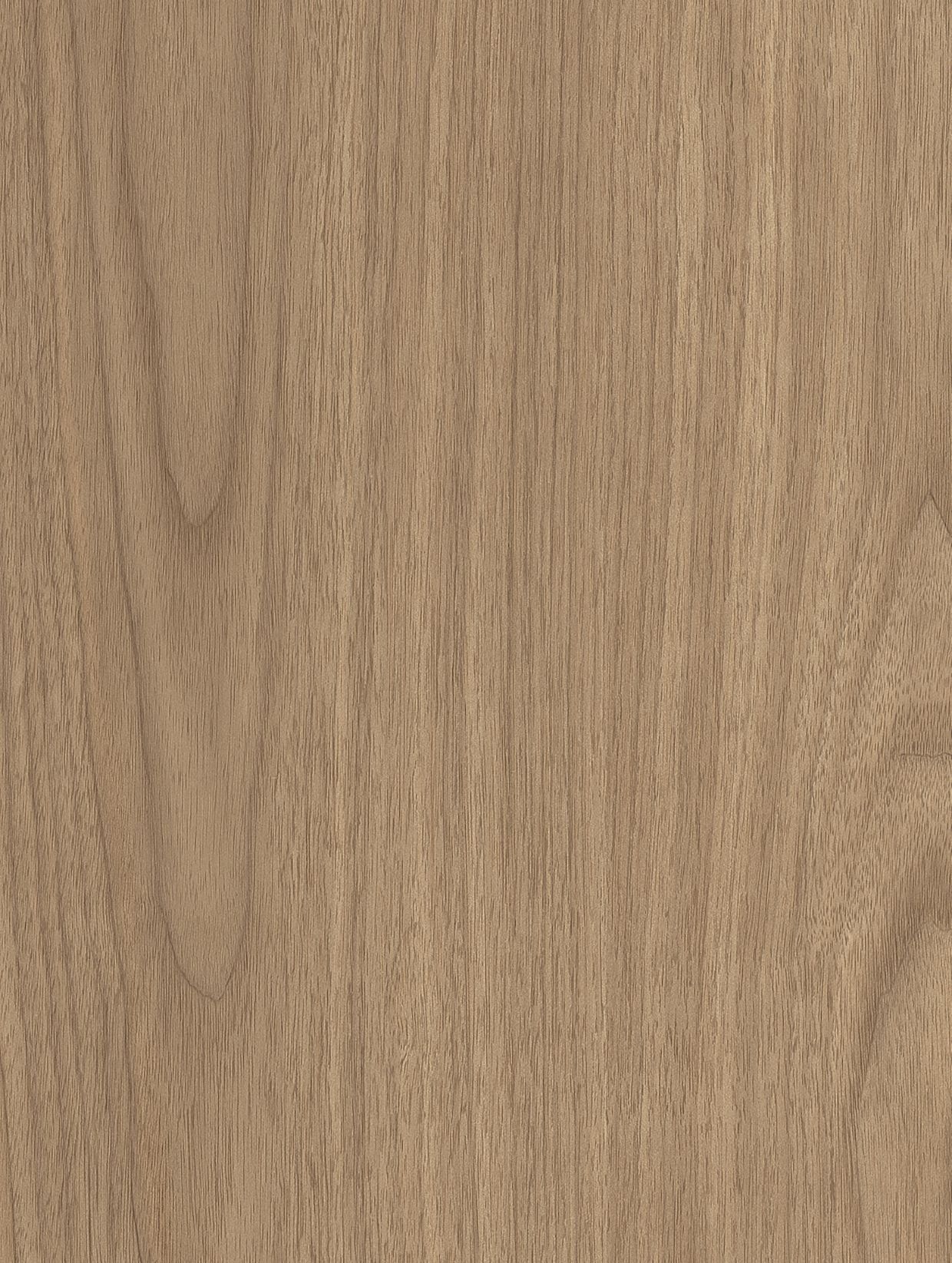 Texture AF08 — Bois moyen