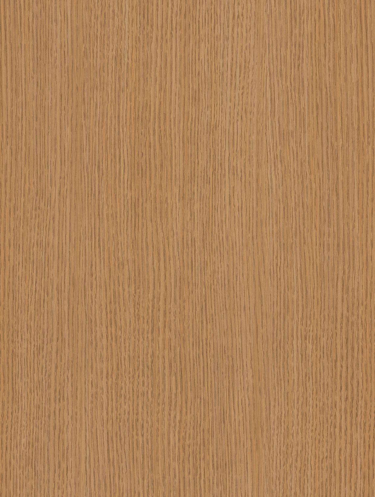 Texture B4 — Bois moyen