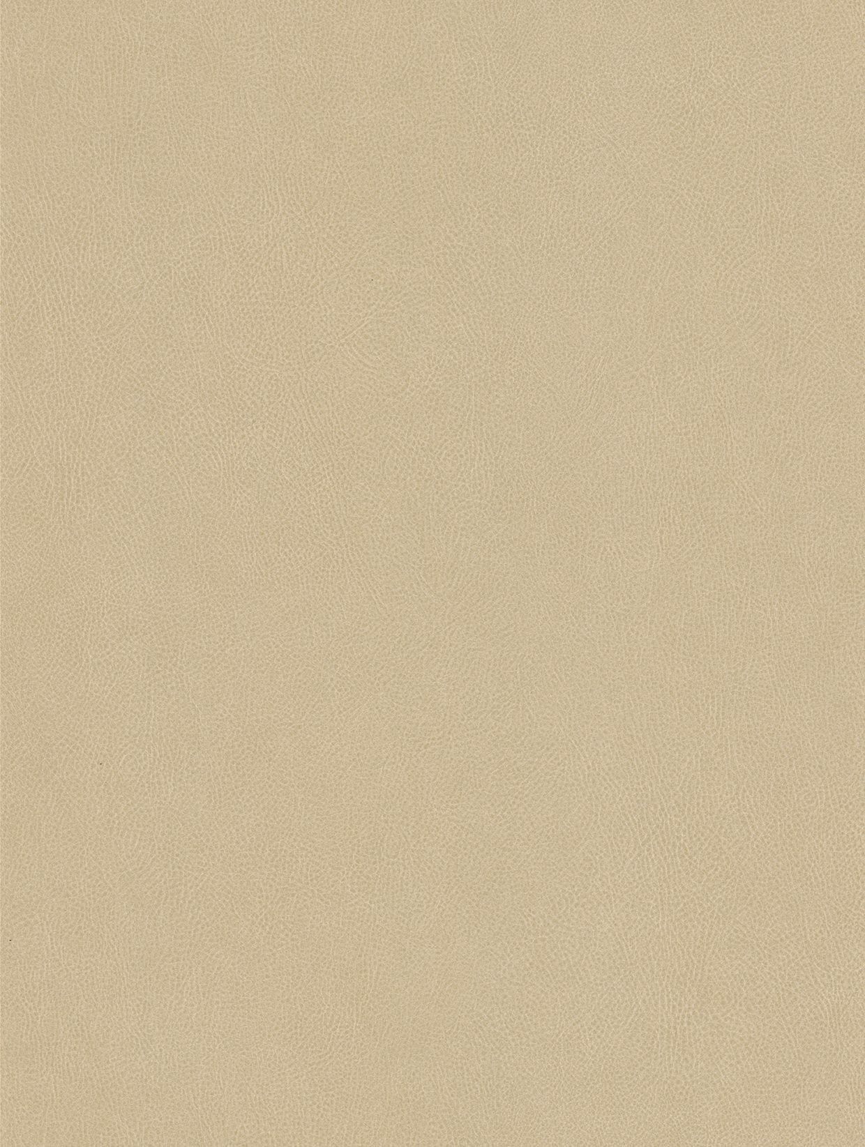 Texture NE42 — Textile · Soie · Cuir